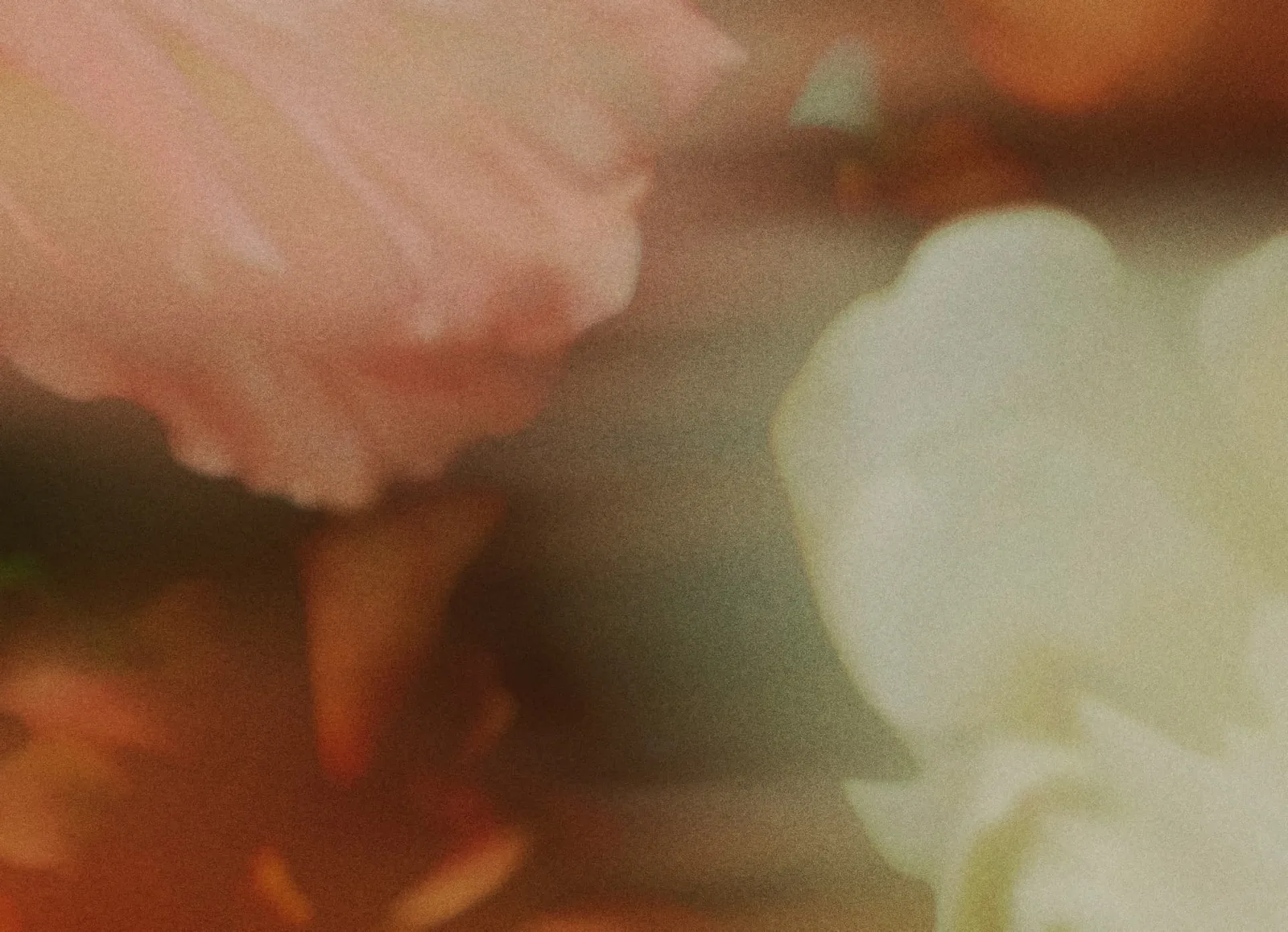 Soft-focus flowers in warm terracotta and ivory tones